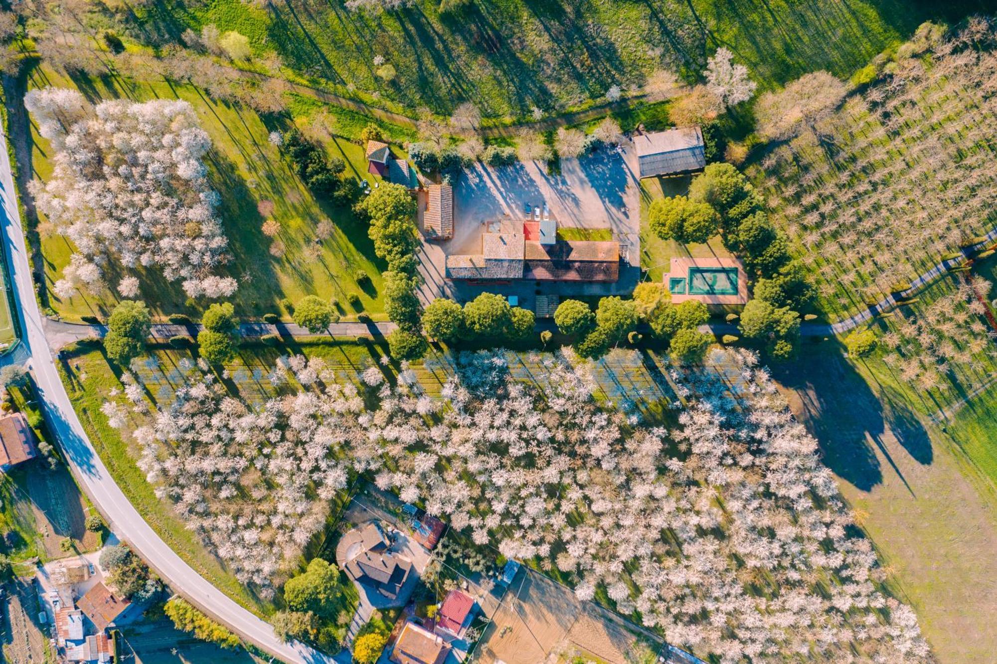 Hotel La Torretta Assisi Eksteriør billede